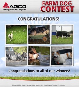 Farm Dog Contest Winners 