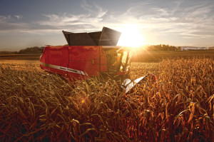 Massey Ferguson 9505 Series