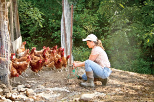 Dawn Robertson looks after chickens.