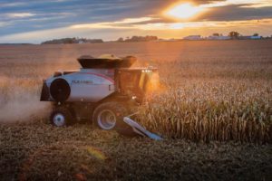 gleaner-harvesting