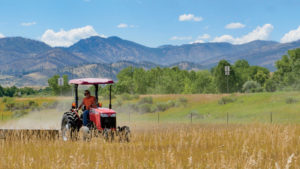 Massey Ferguson