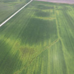Aerial photography used to develop yield loss prediction maps and prescriptions for where more nitrogen fertilizer is needed.