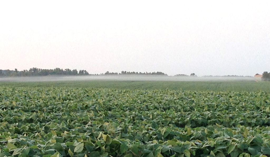 Ground fog hanging over a crop field is one sign of a temperature inversion.