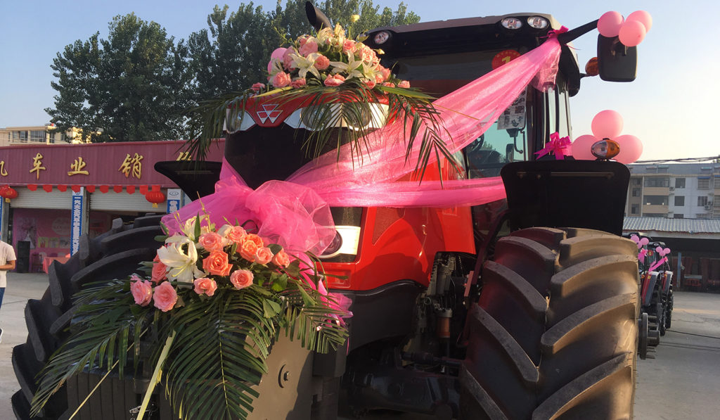 Leading vehicle of the wedding team — High-powered Massey Ferguson Tractor MF 2404