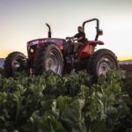 Maximize versatility with the MF4620M High-Clearance Tractor
