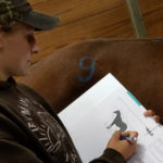 Sarah Albers studying equine anatomy